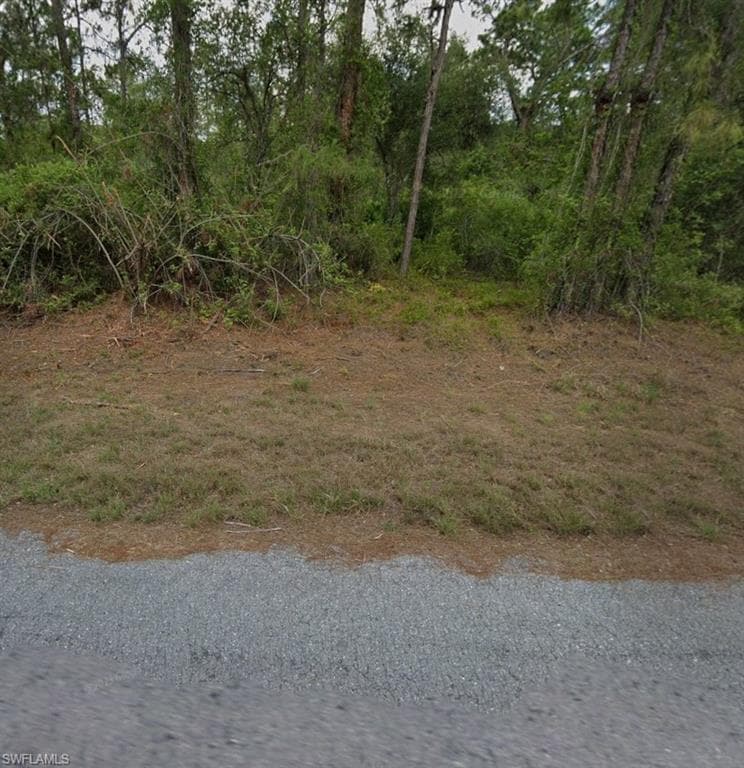 2010 Scott AVE, ALVA FL 33920-4