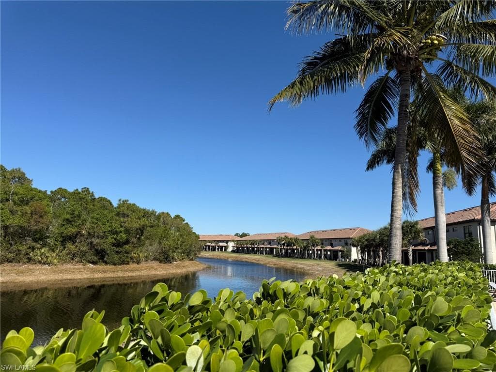 1376 Weeping Willow CT-41