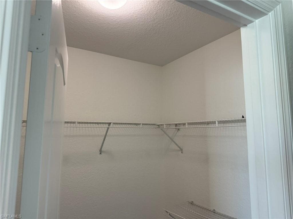 1376 Weeping Willow CT-35