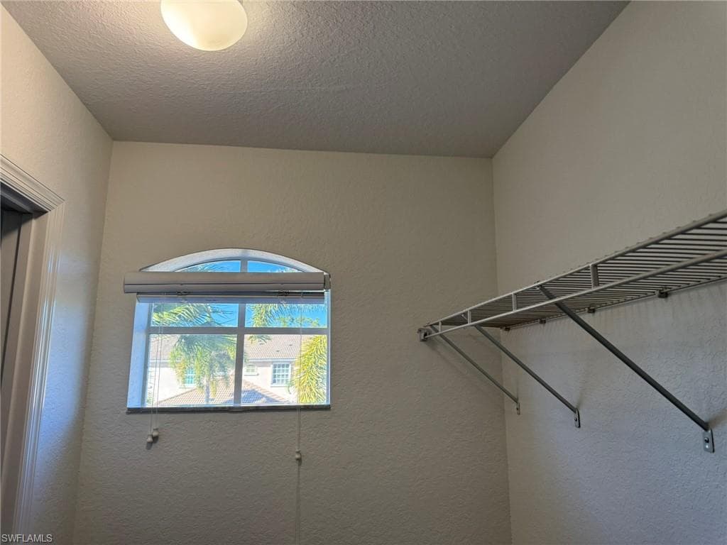 1376 Weeping Willow CT-29