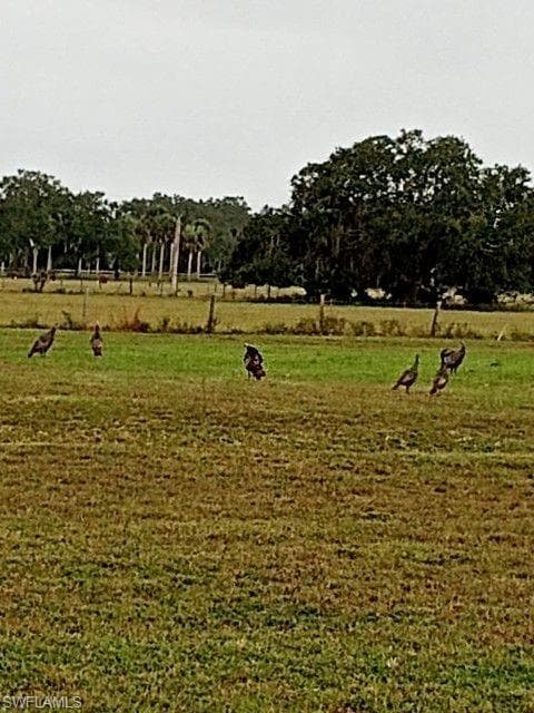 2687 Old Lakeport RD, MOORE HAVEN FL 33471-26