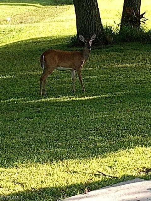 2687 Old Lakeport RD, MOORE HAVEN FL 33471-23