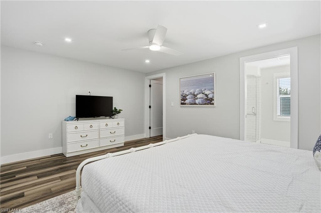 1806 Ibis LN E-19