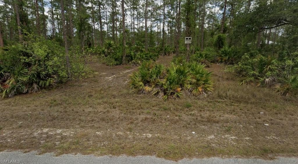 2214 Canton AVE, ALVA FL 33920-2