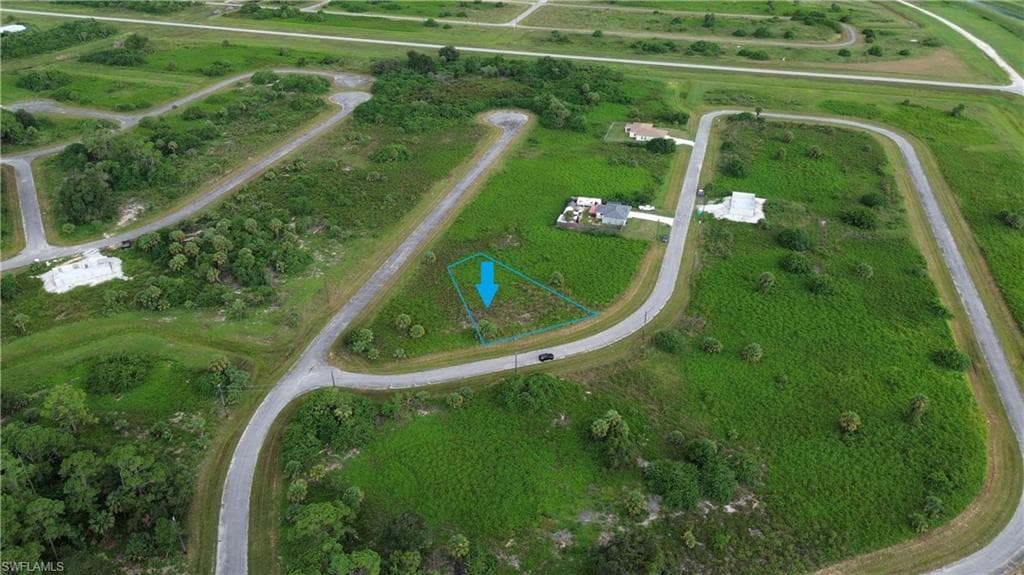 770 Shark LN-2