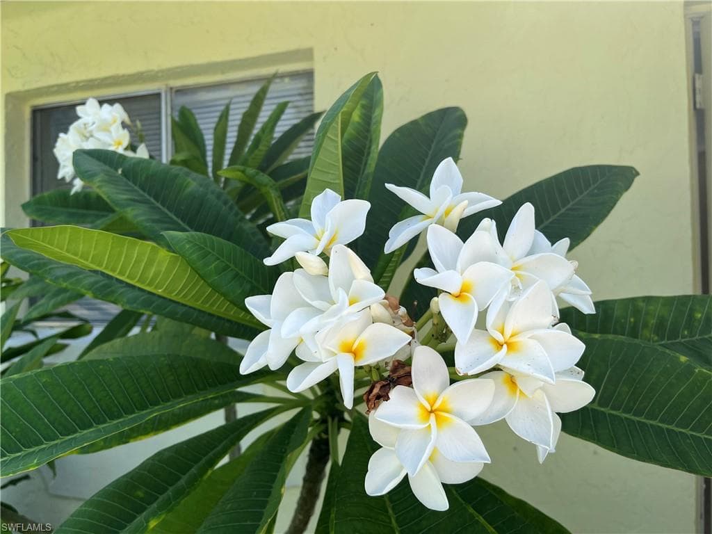 1275 Old Bridge RD, NORTH FORT MYERS FL 33917-47