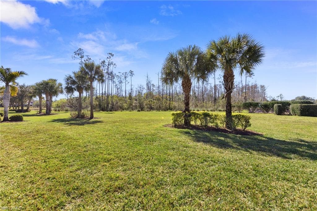 20206 Black Tree LN, ESTERO FL 33928-33