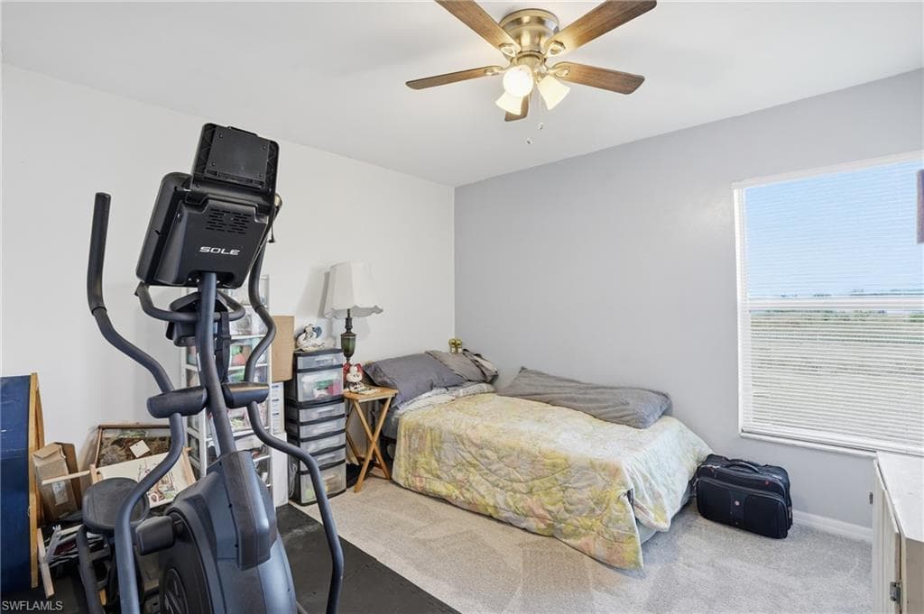 203 Manatee ST-20