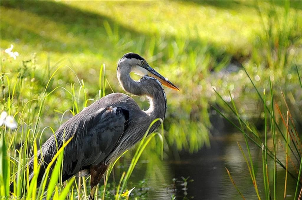 16387 RABAT WAY, PUNTA GORDA FL 33955-5