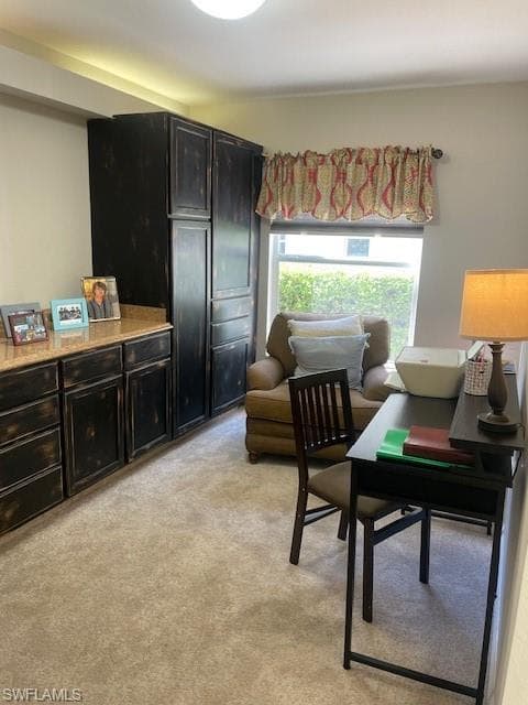 25747 Lake Amelia WAY # 105, BONITA SPRINGS FL 34135-11