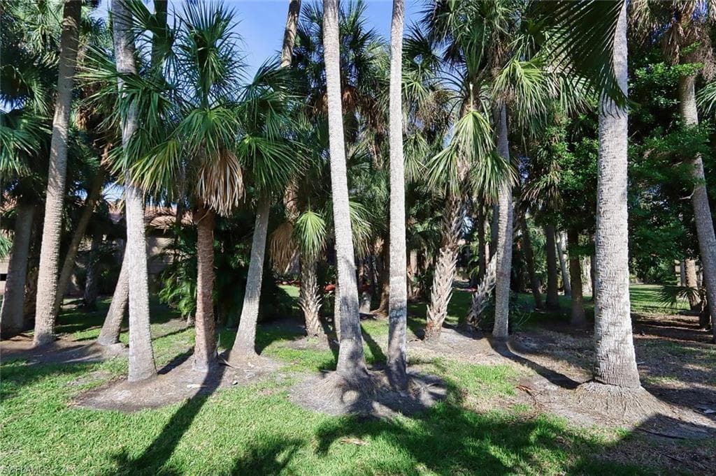 17623 Osprey Inlet CT-17