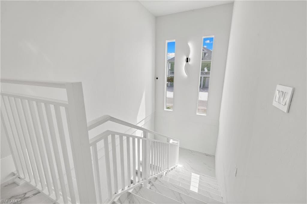 137 Hibiscus DR-16