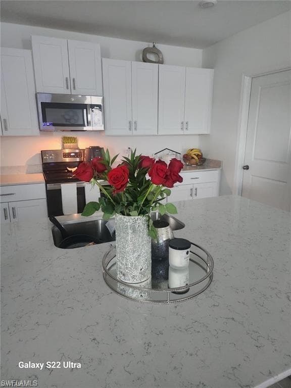 20380 Caroline Creek PL, LEHIGH ACRES FL 33974-12