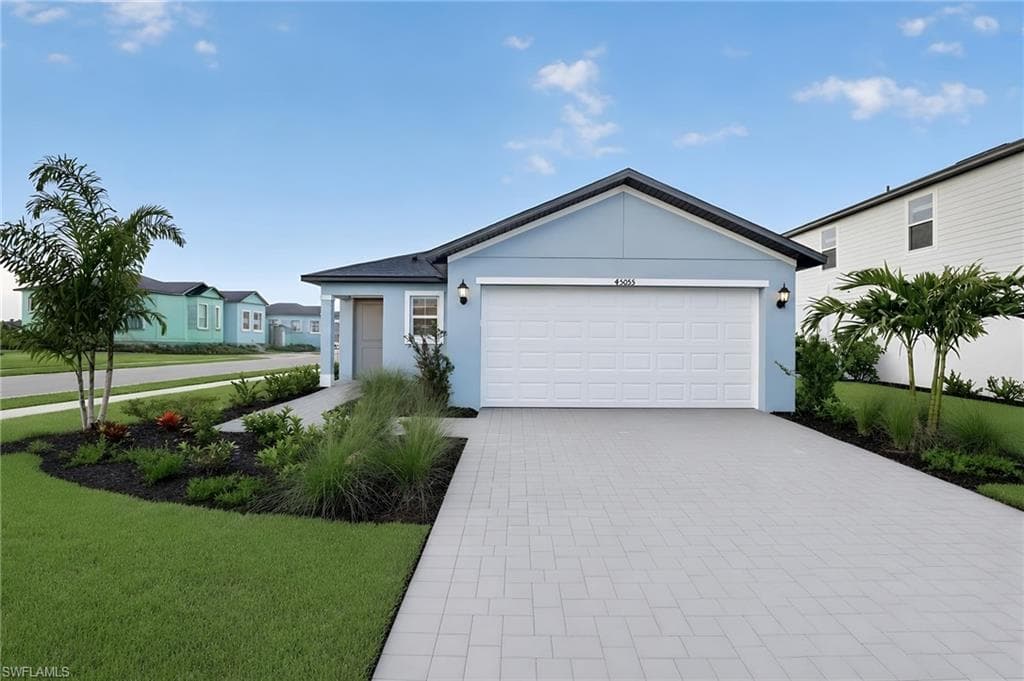 45055 Pipevine CIR-0