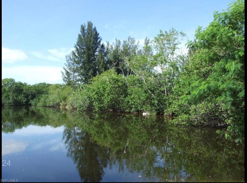 4914 Needle Fish LN-13
