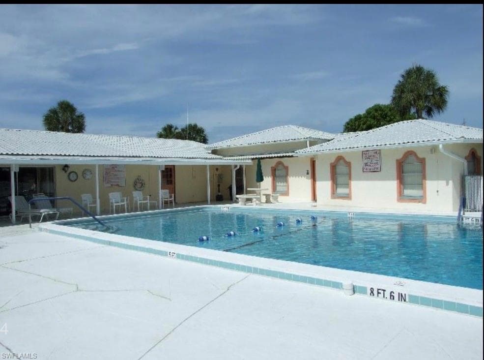 4914 Needle Fish LN-1