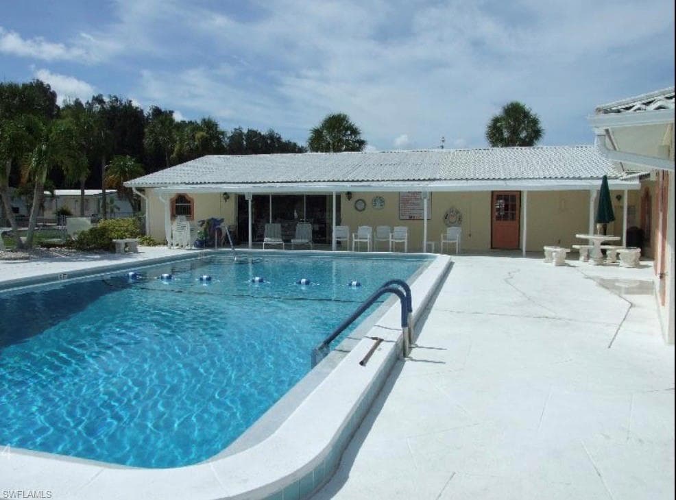 4914 Needle Fish LN-7
