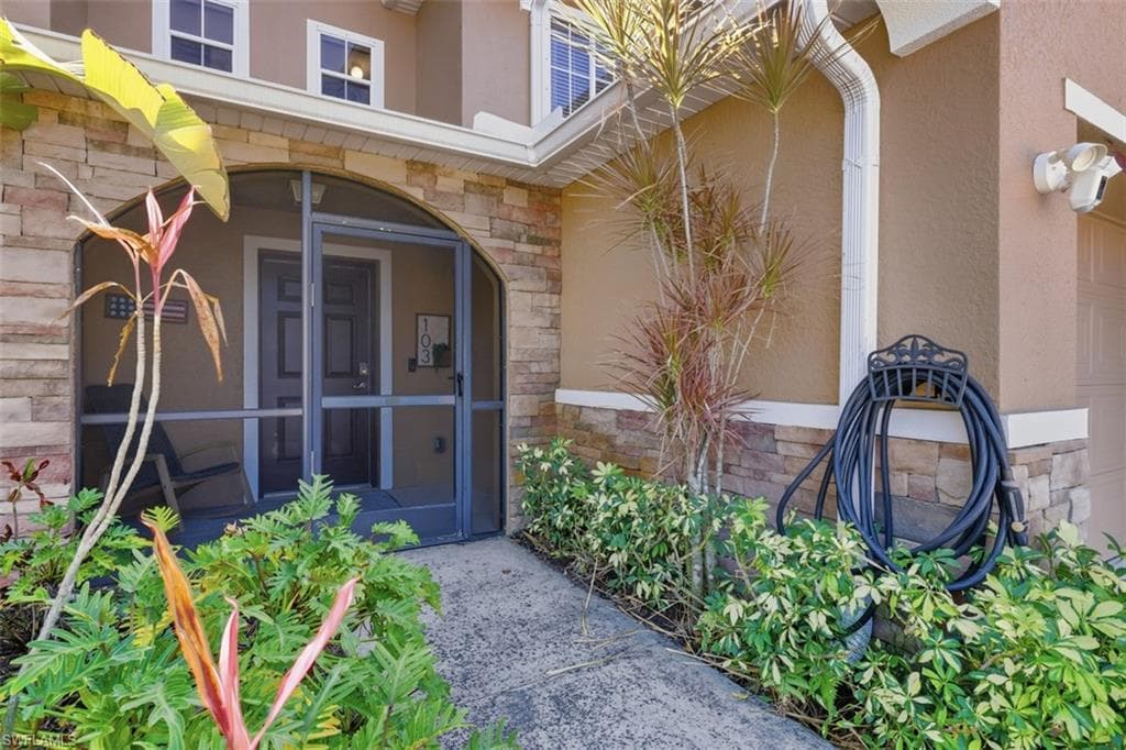 15150 Piping Plover CT 103-1