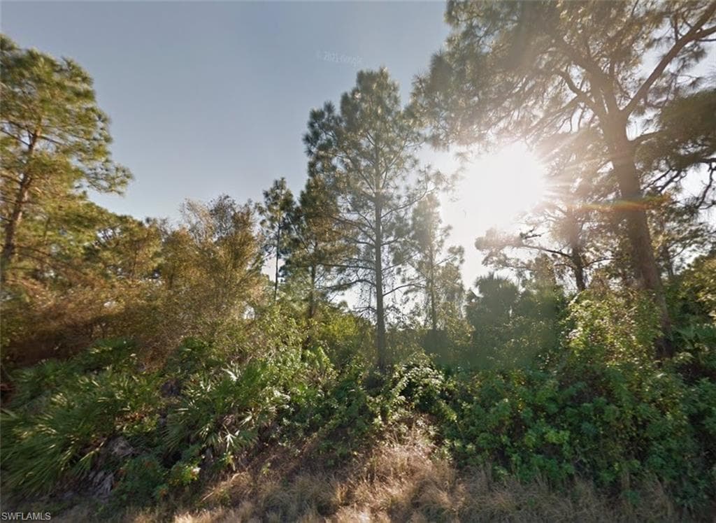 842 Geneva ST, LEHIGH ACRES FL 33974-1