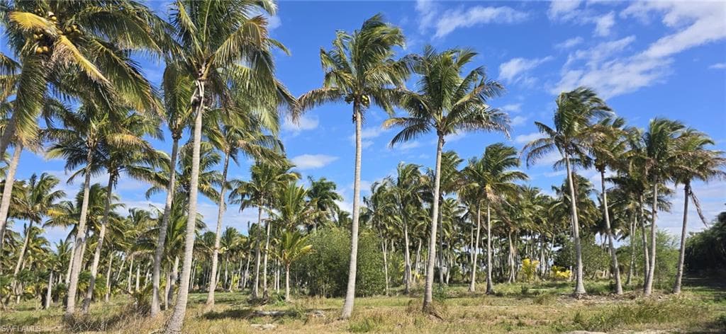 0 Lada LN, BOKEELIA FL 33922-3