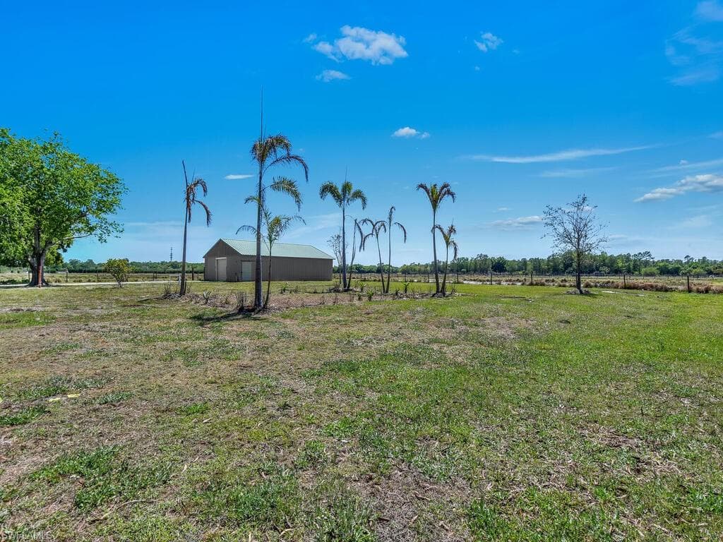 1330 Purple Martin DR-44