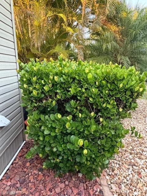 10325 Fire Flag TRL, FORT MYERS FL 33905-18