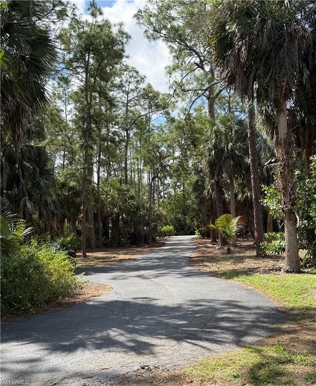 5281 Teak Wood DR-21