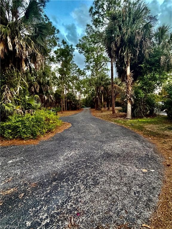 5281 Teak Wood DR-17