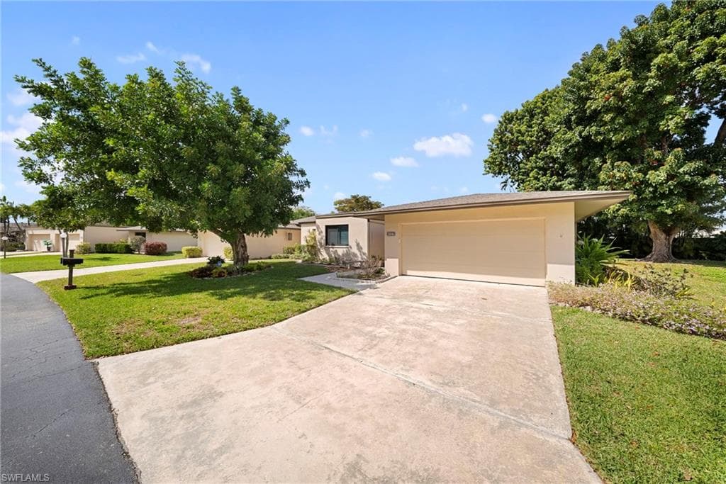 5846 Wild Fig LN-1