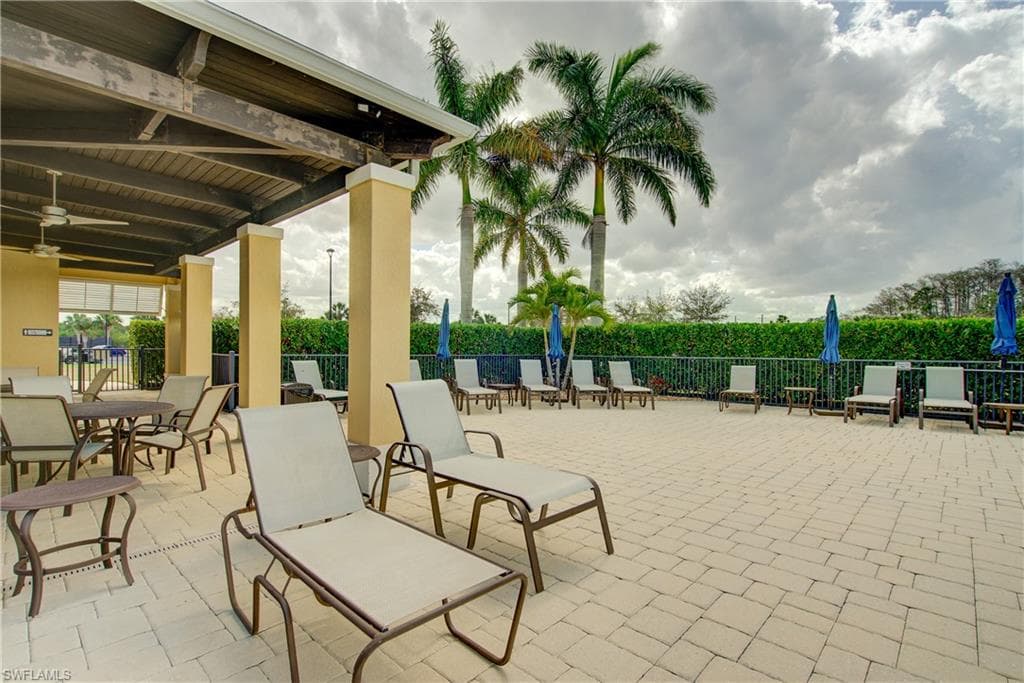 15216 Ligustrum LN-40