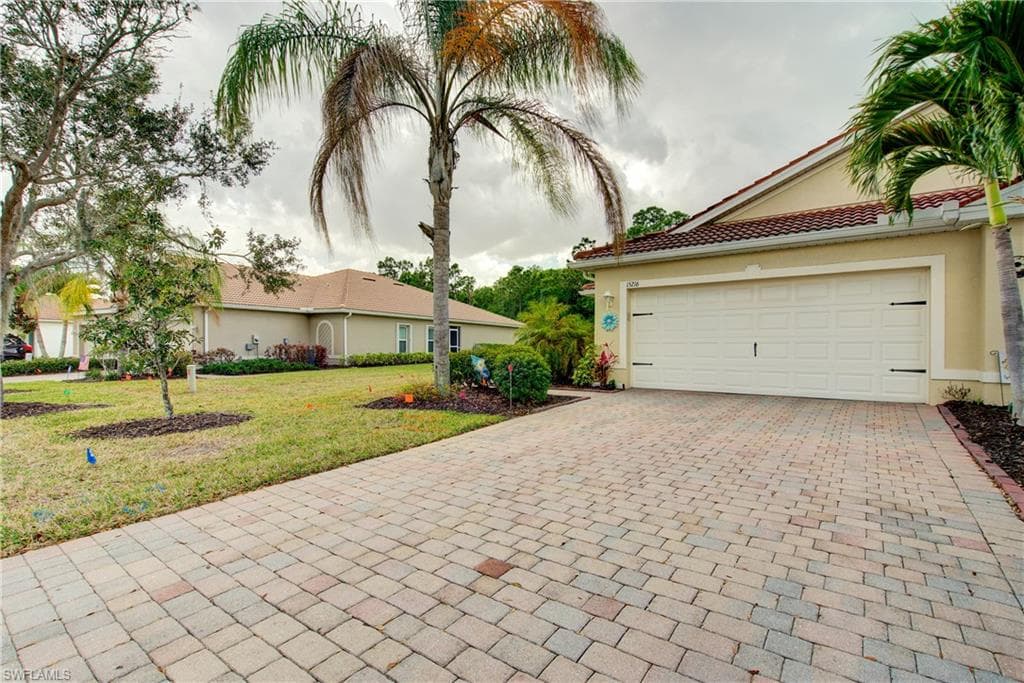 15216 Ligustrum LN-47
