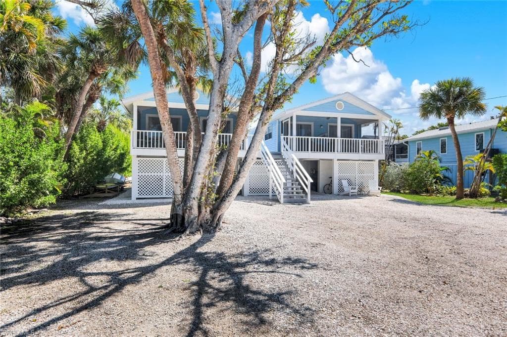 746 Cardium ST-26