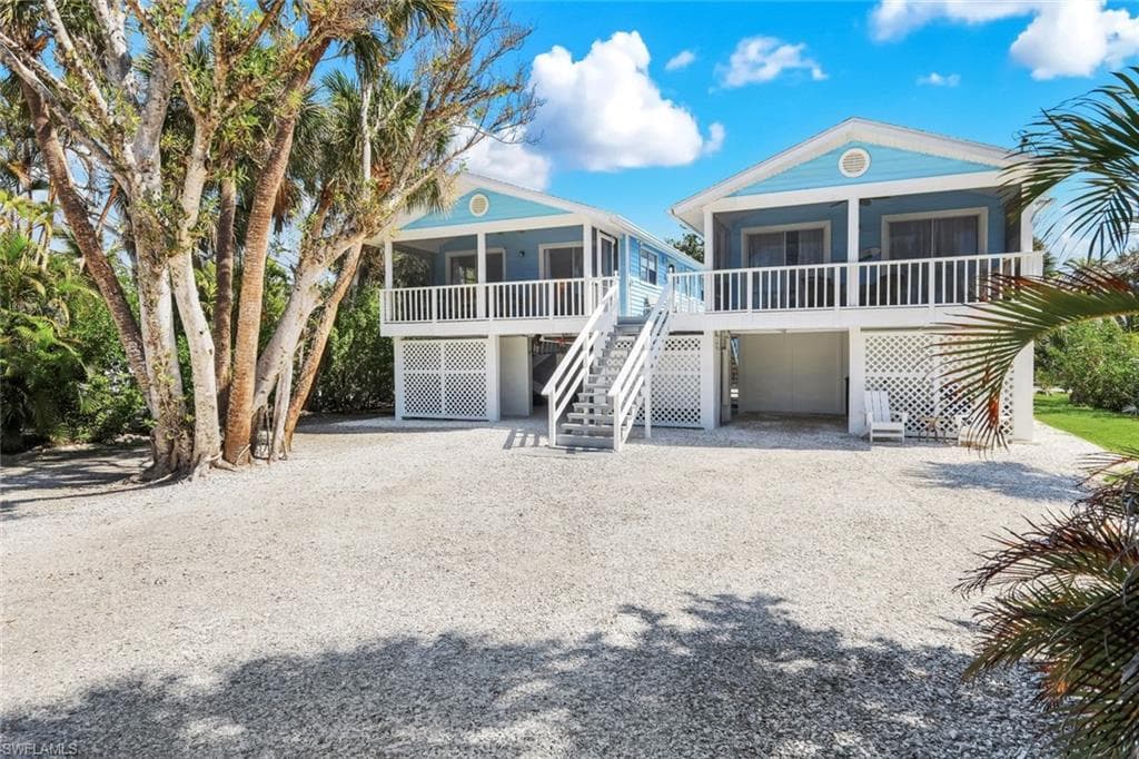 746 Cardium ST-1