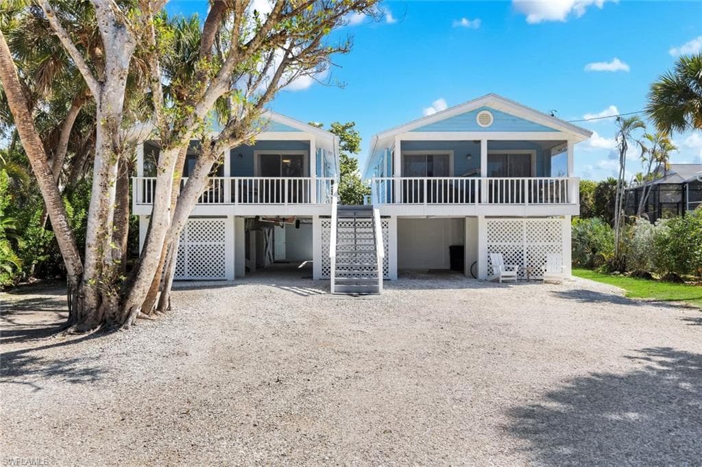 746 Cardium ST-2