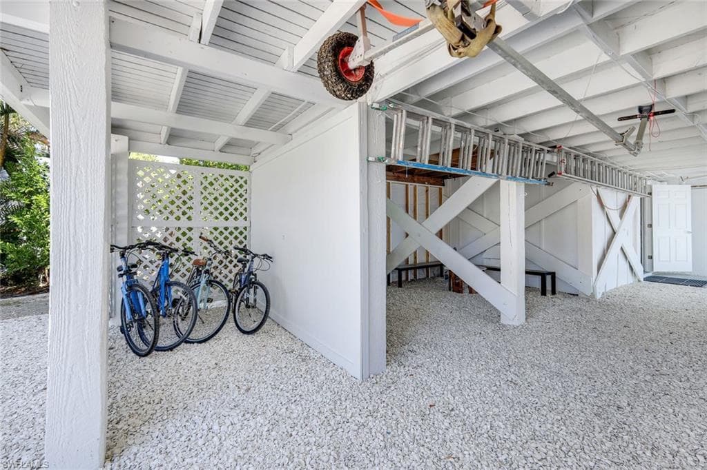 746 Cardium ST-19