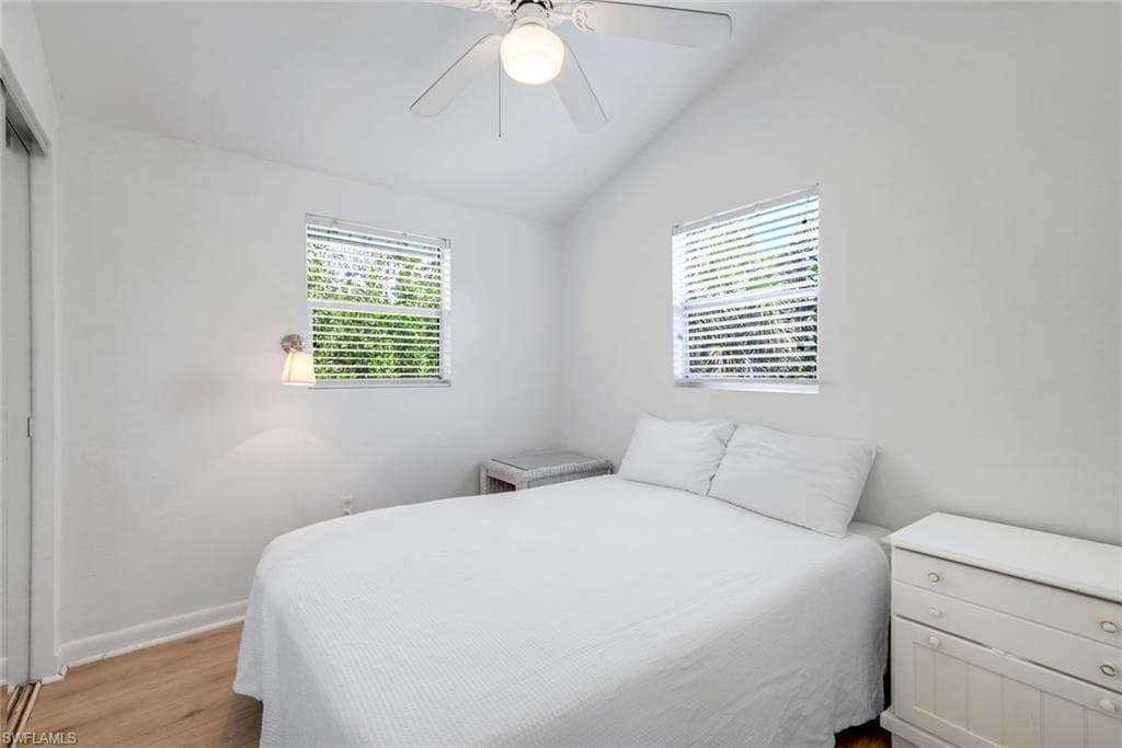 746 Cardium ST-13