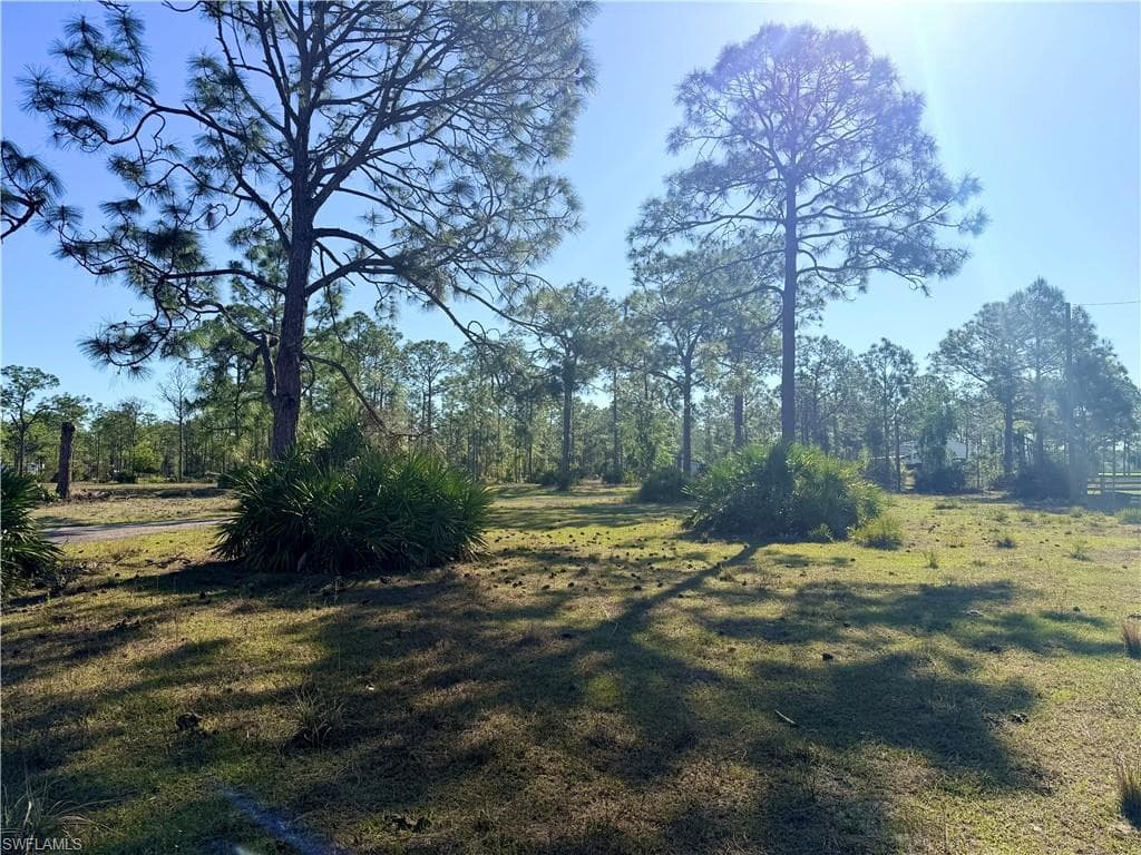 21151 Hidden Woods TRL-4