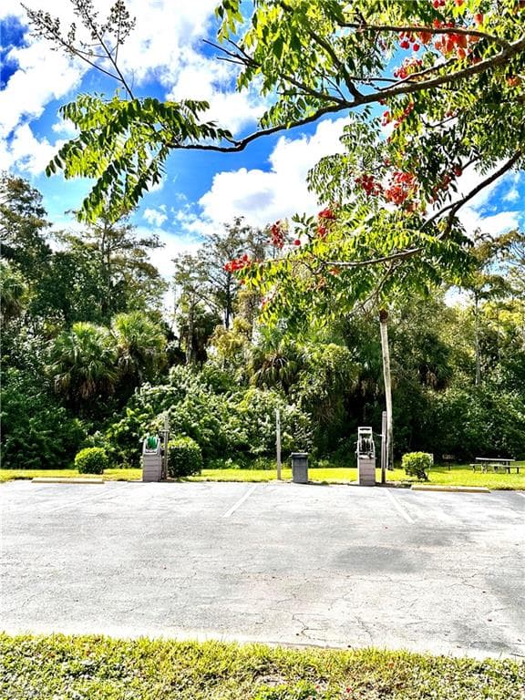 9540 Green Cypress LN 11-38
