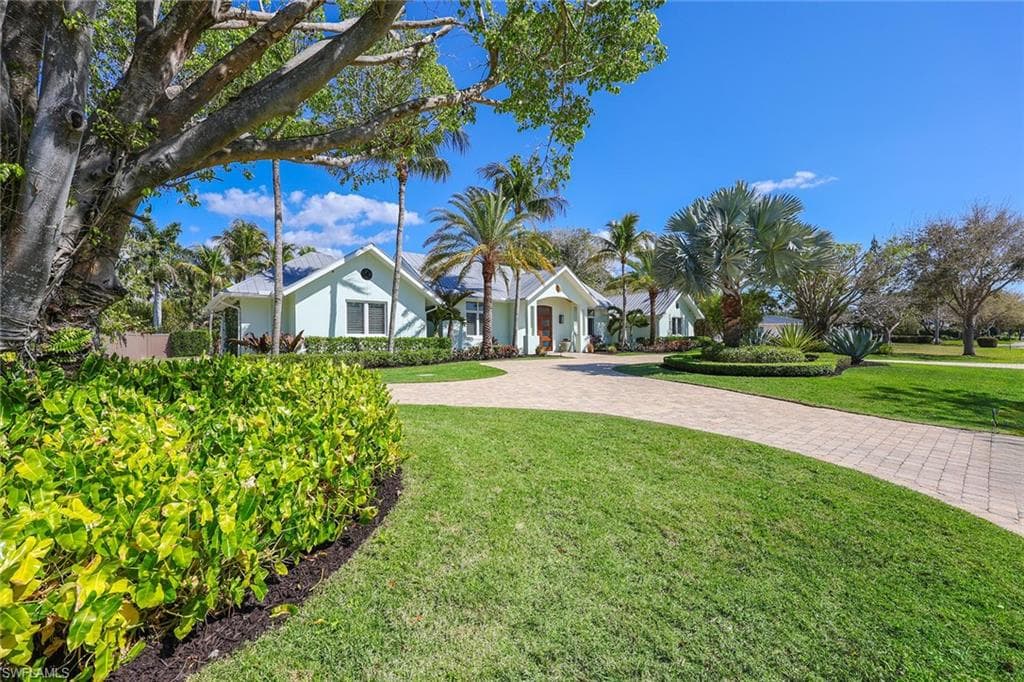 1438 Murex DR-1
