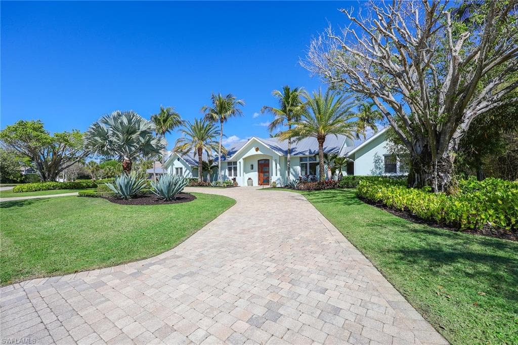 1438 Murex DR-7