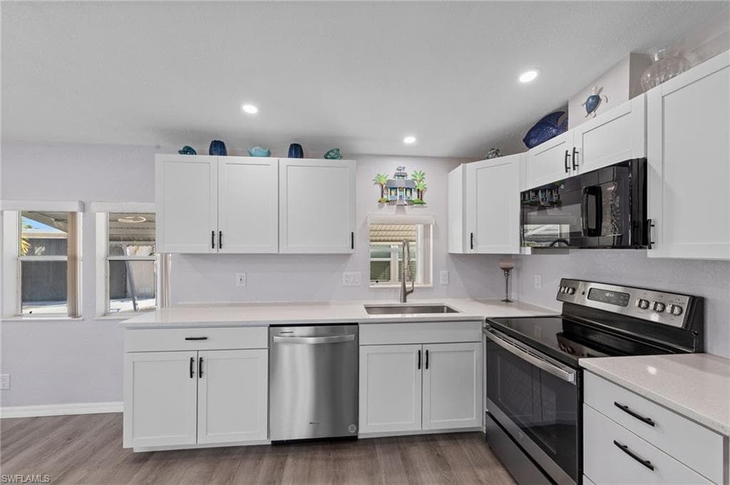 11791 Papershell DR-4