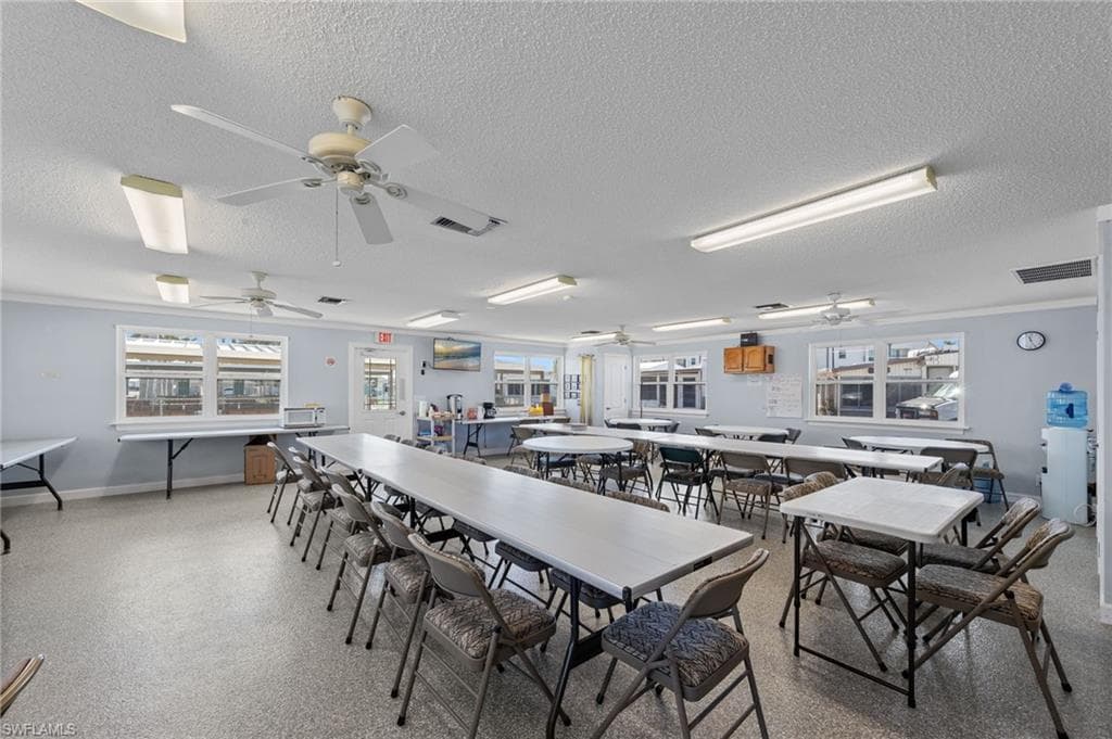 11791 Papershell DR-29