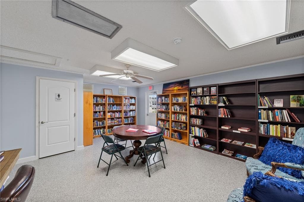 11791 Papershell DR-30