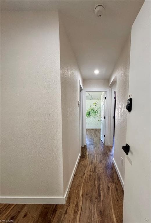 15493 Chloe CIR-5