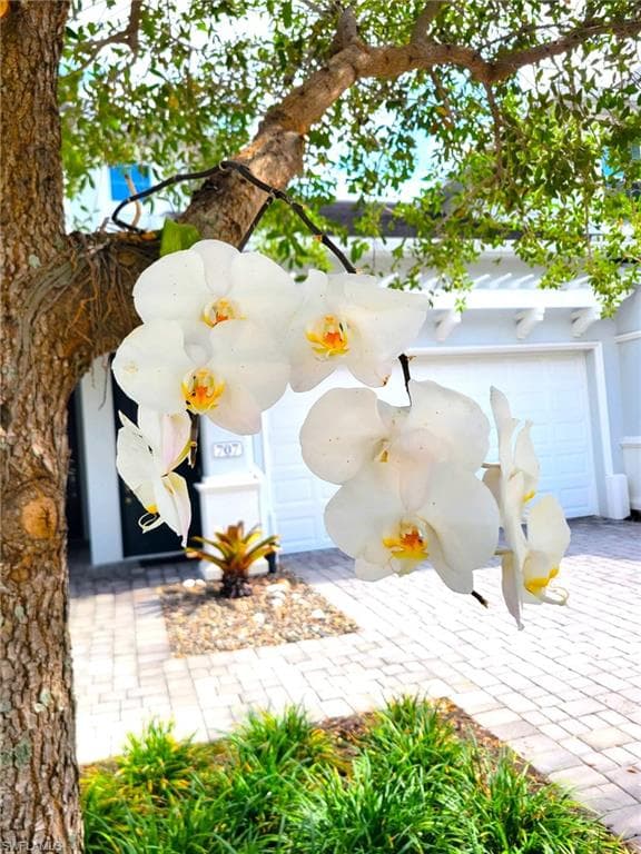 6954 Avalon CIR 703-16
