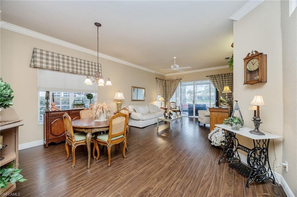 6541 Ilex CIR-8