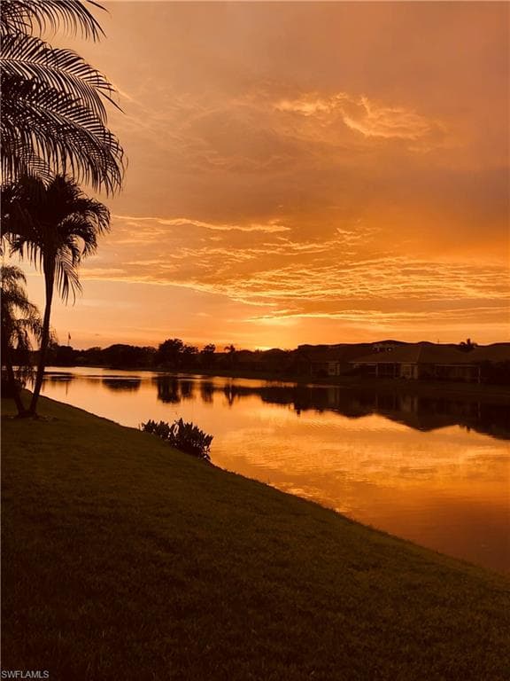 6541 Ilex CIR-33