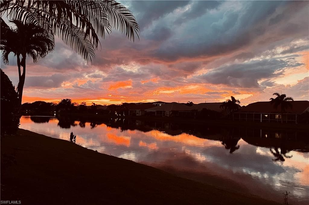 6541 Ilex CIR-34