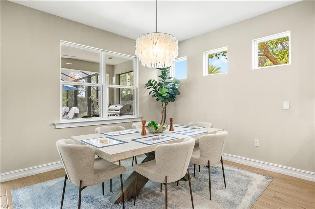 14546 Tropical DR-5
