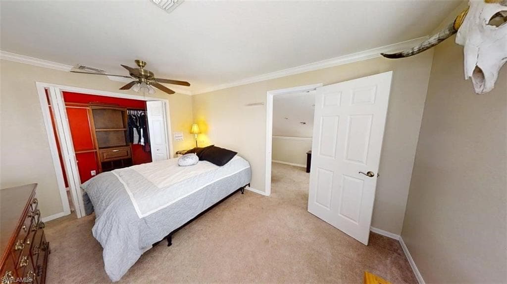 138 Burnt Pine DR-22